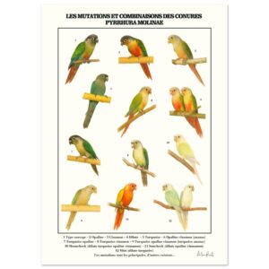 205a7134-4b06-4be9-b016-7d3b525be4a9