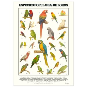 39d1229c-e258-4526-bc4e-f2c4d4e30311