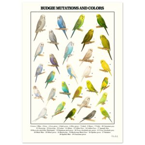 3ff8a233-f505-425e-9189-4d6f7456b776