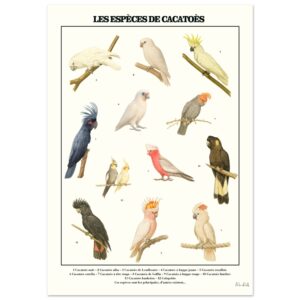 80d0bc1b-56c8-4846-bea0-9f1306674544