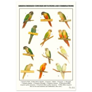 a51bef37-b8d2-4e13-b438-d297da1744e1