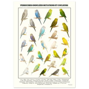 a7fa3d3a-72f2-4dd1-a935-6f346281889c