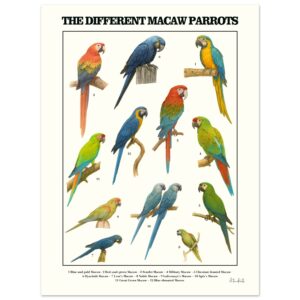 af0fd9f4-c376-4995-be2c-8c270c812235