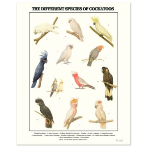 b8a6d07a-18e2-4742-aa2d-4d73837bd7b8