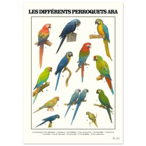 fcddf506-8a2c-4210-9f8c-1a5efc06c0eb