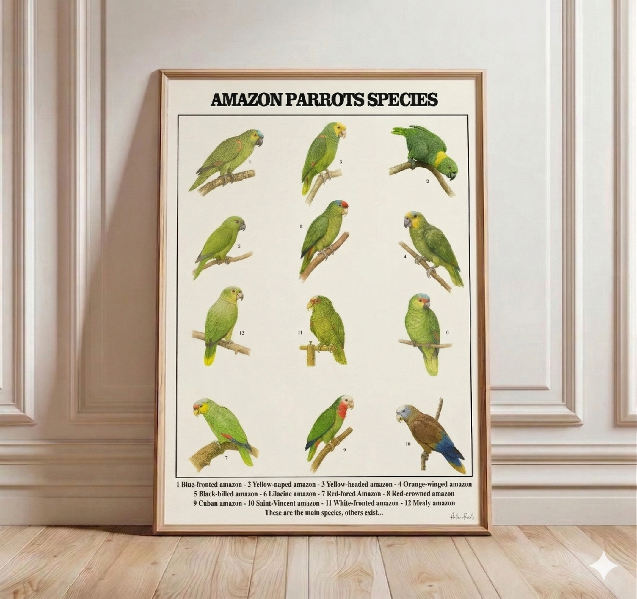 0108b264-ee8b-4e8e-ae2d-a36a0a503436