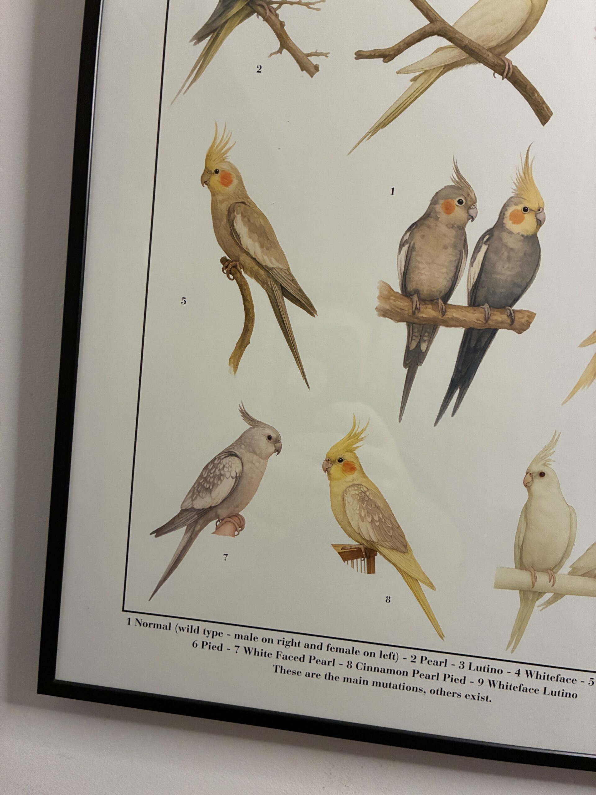 0759d7d8-c895-4deb-832f-9e72192eb58a