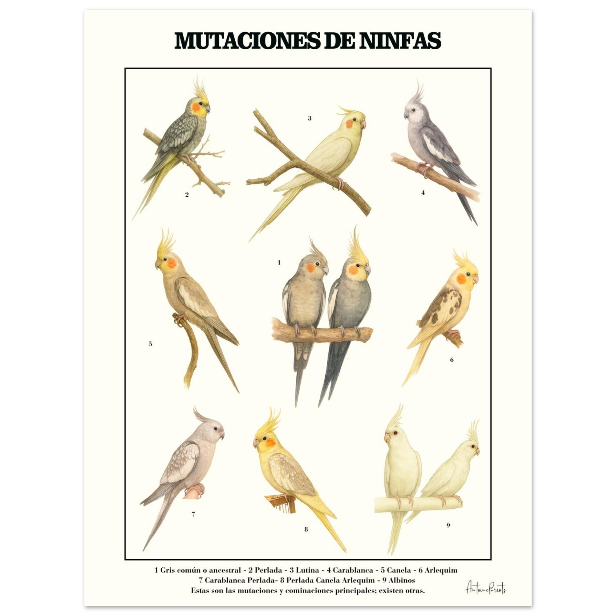 08d6b9f6-d356-4f68-9504-aafd566ad1a6