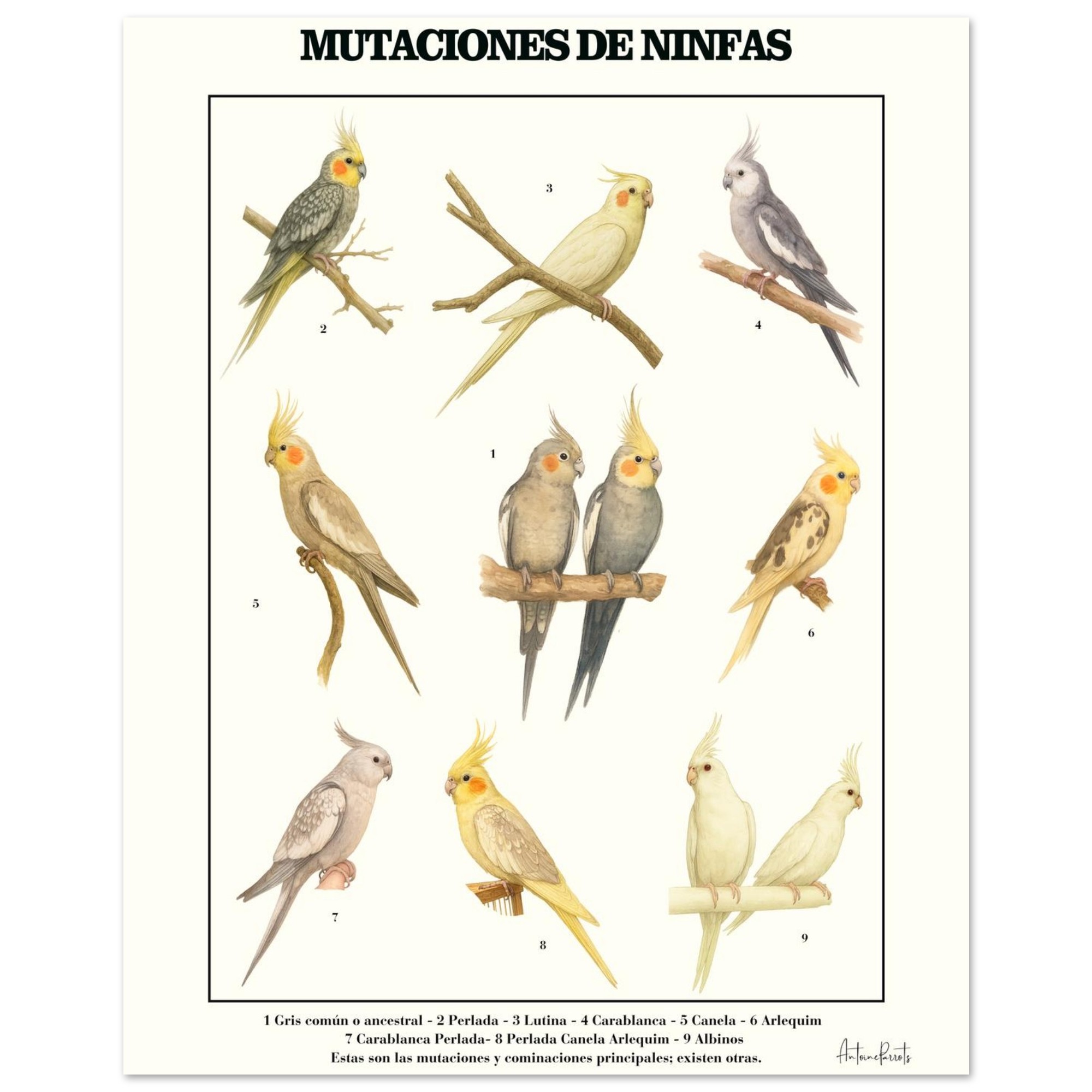 1cf3240b-d221-4e37-bfe4-f8863e222f76