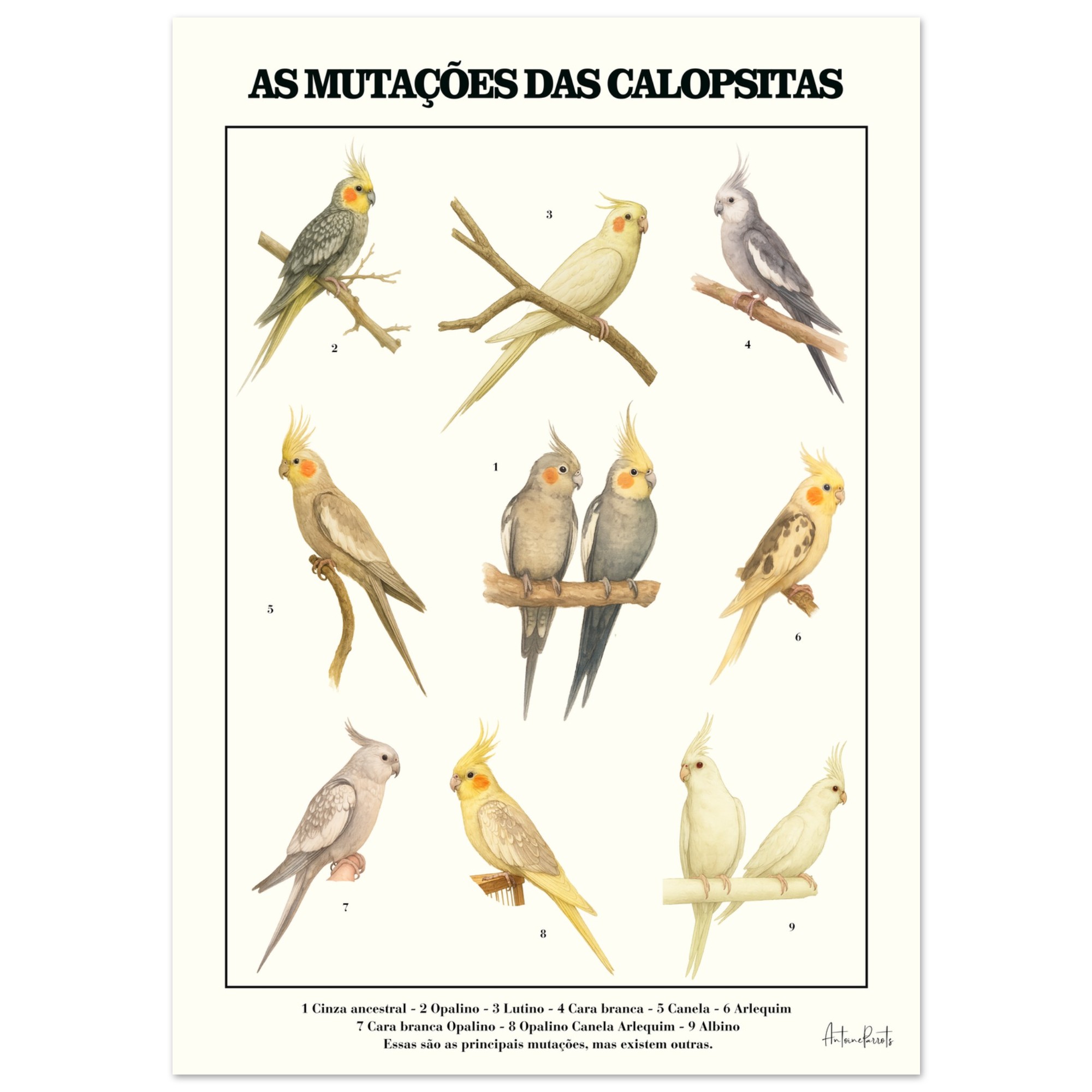 33b946d1-9ed9-4900-8ea9-9188b0514ae0