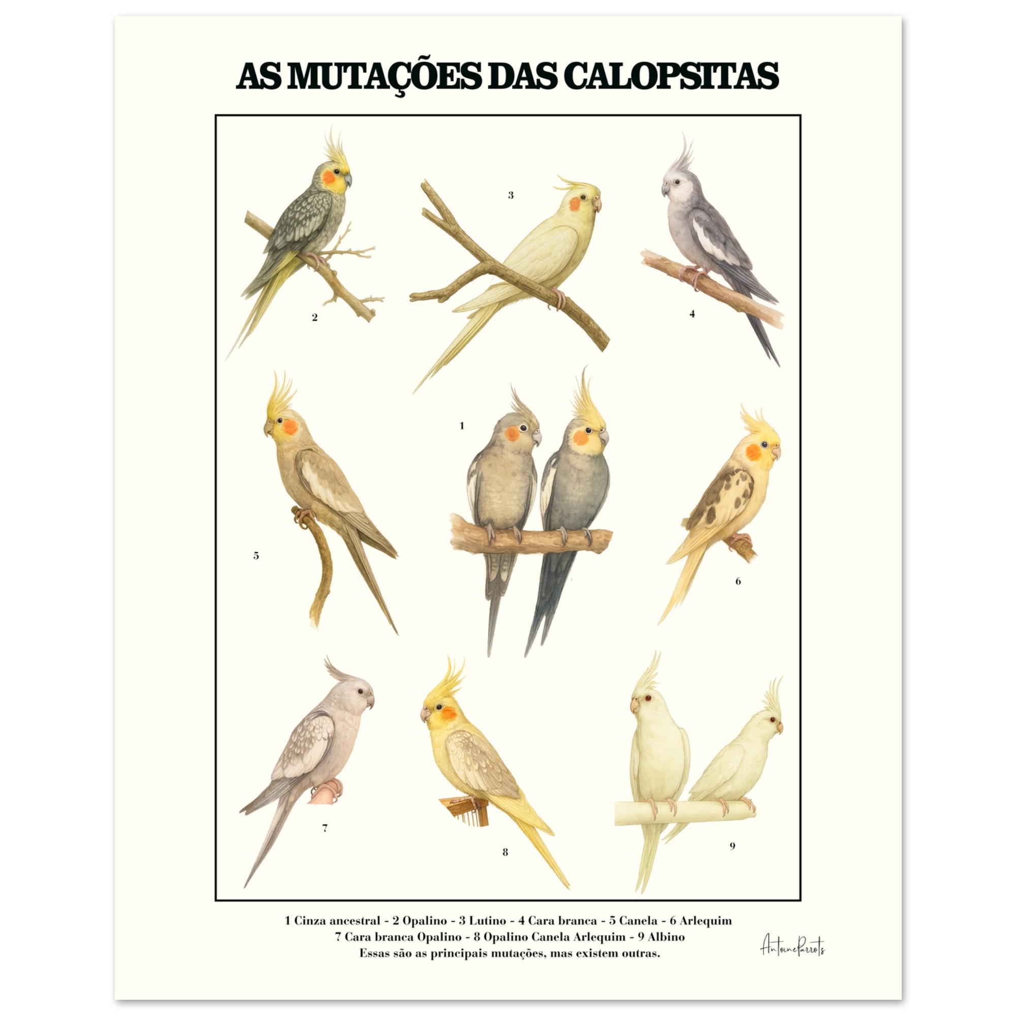 3fd74bc7-2de5-4294-8639-88d4ba384729