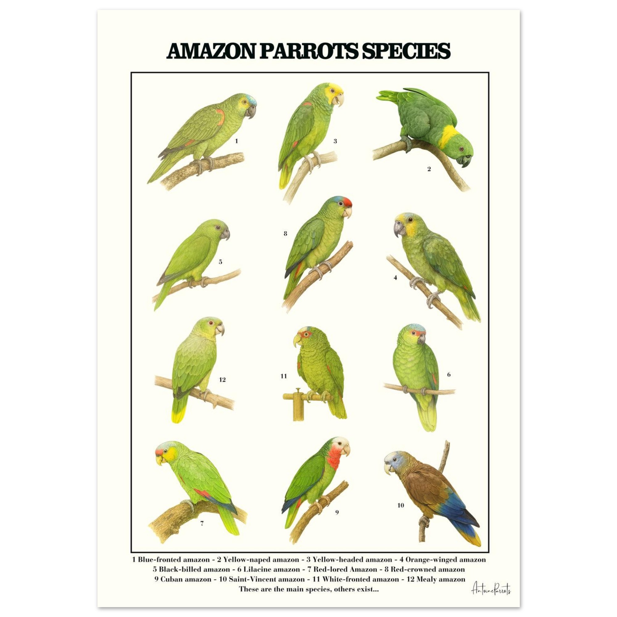 43a35a1c-42b2-4bda-b941-636295299c38