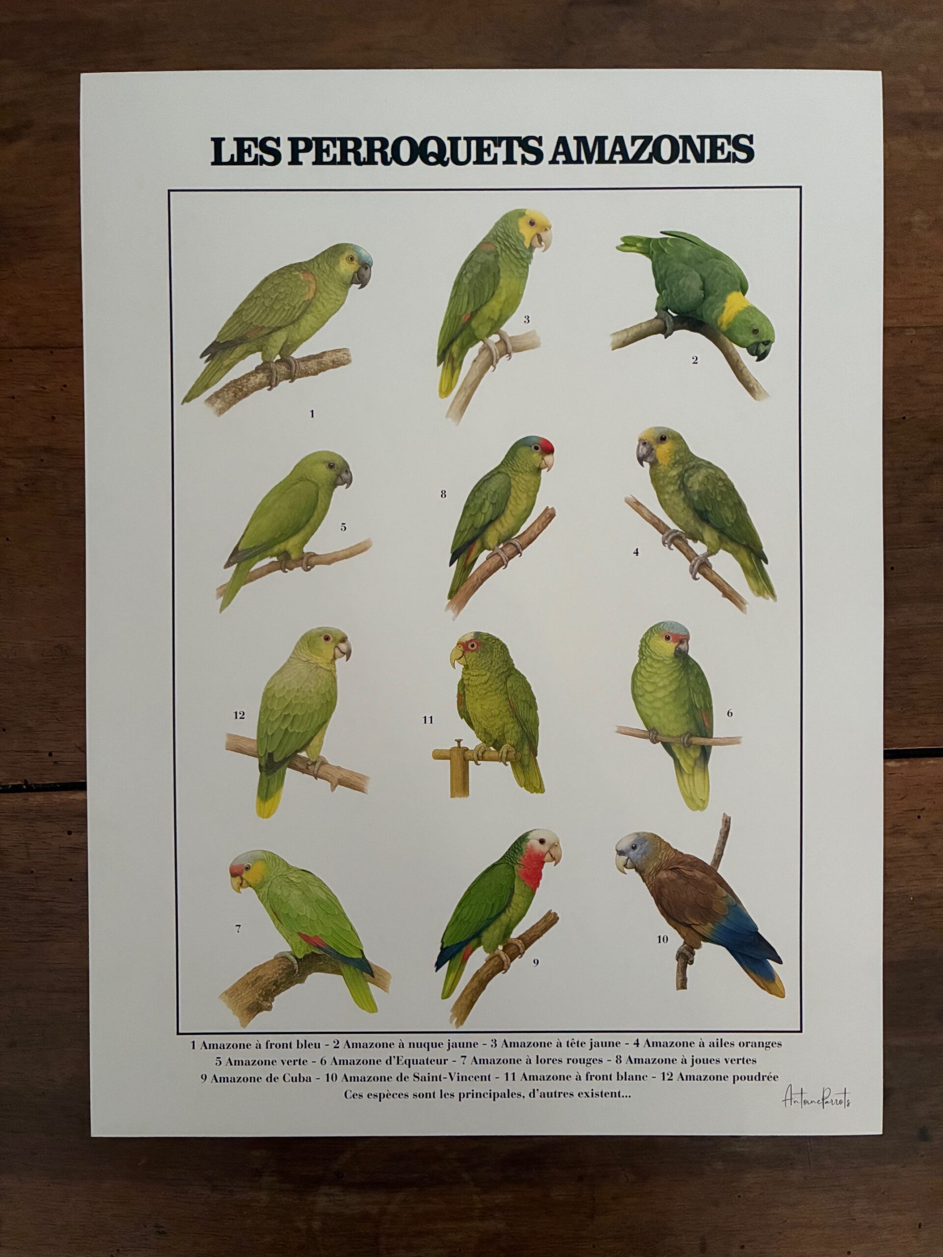 47e538b8-f359-435c-bdd6-e3cf557cf975