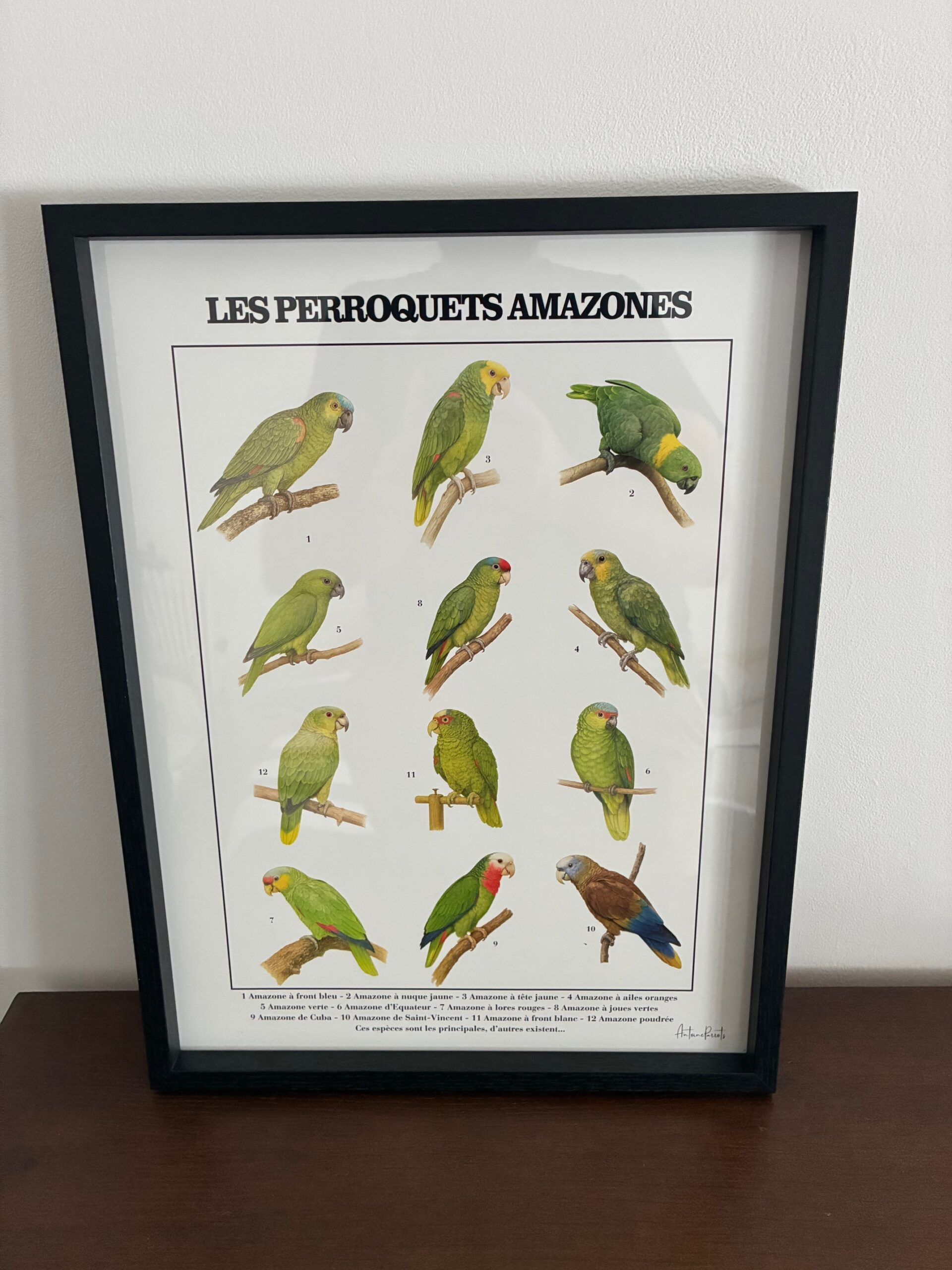 5018b7c1-c801-40a4-be80-fc41b6be0b17