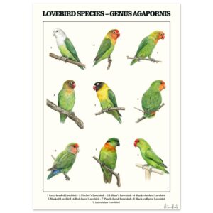 5bb4e0a6-2c63-4623-82a2-69bfd6fb27e3