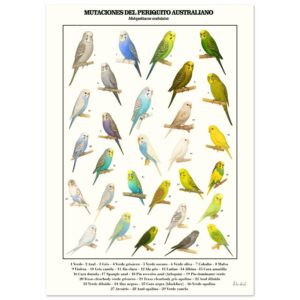 5e42c537-5693-4b6d-be02-b11ea639d0a6