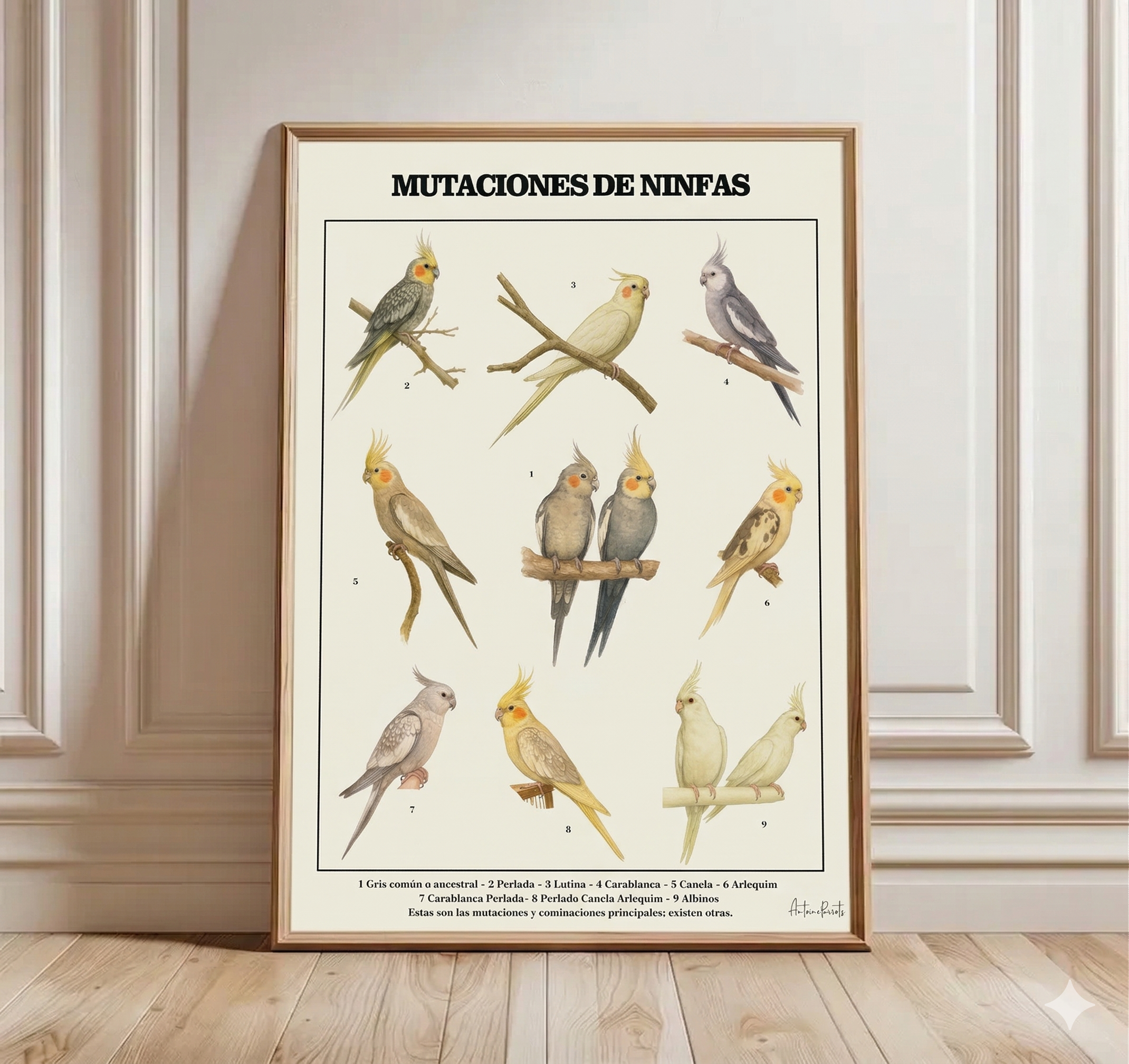 6243f2b4-fd6b-4794-a78e-f72b10d4af0a