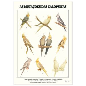 63e84867-11f5-41c6-bd2b-7d4fca725c16