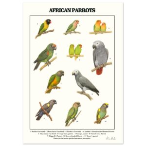 68003dcd-09b6-4204-aede-b4e0513eb430