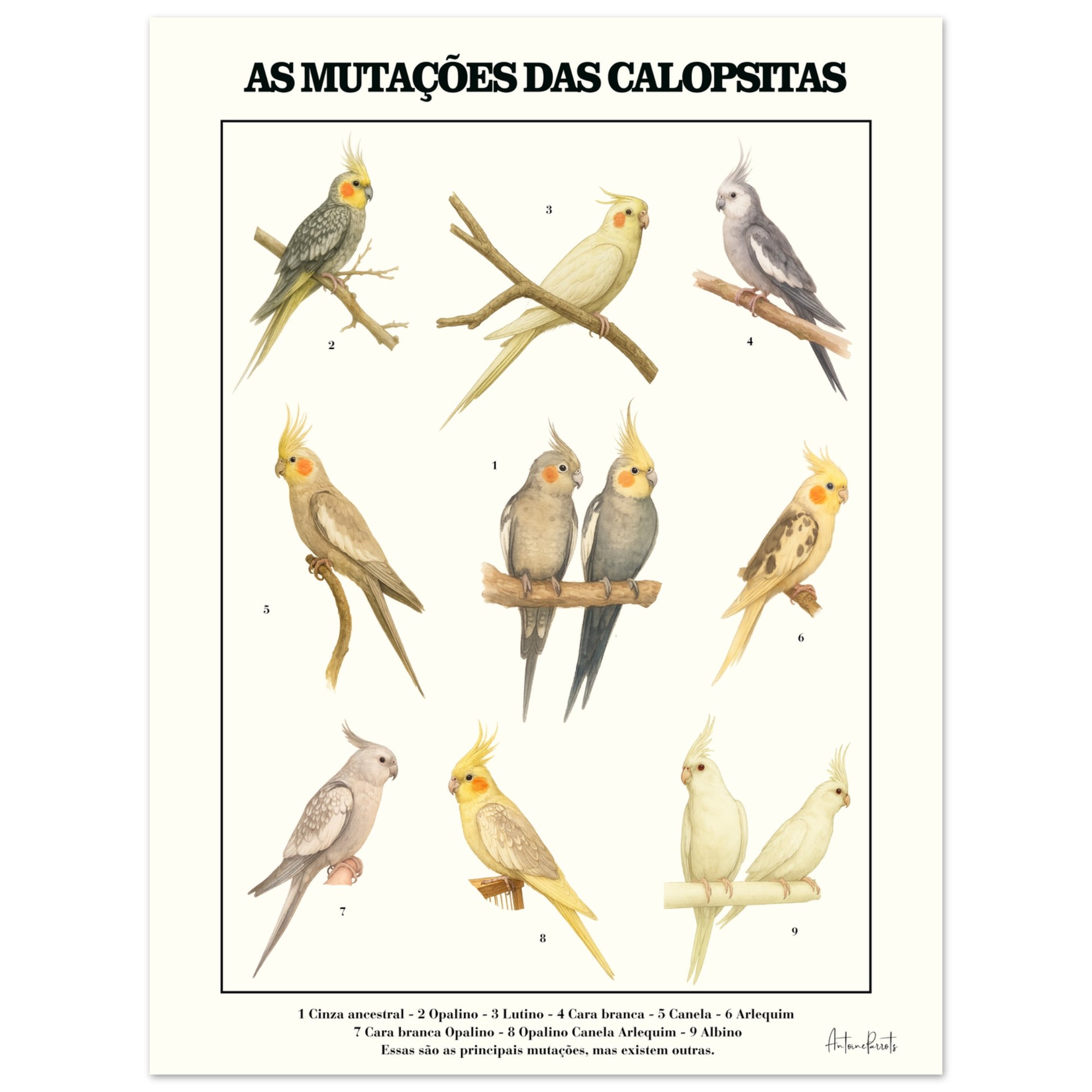 6c298cc8-eea9-4b77-8552-268a2e48fec2