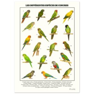 7c157c99-fe2e-4ab6-8529-5c208aa0ca47