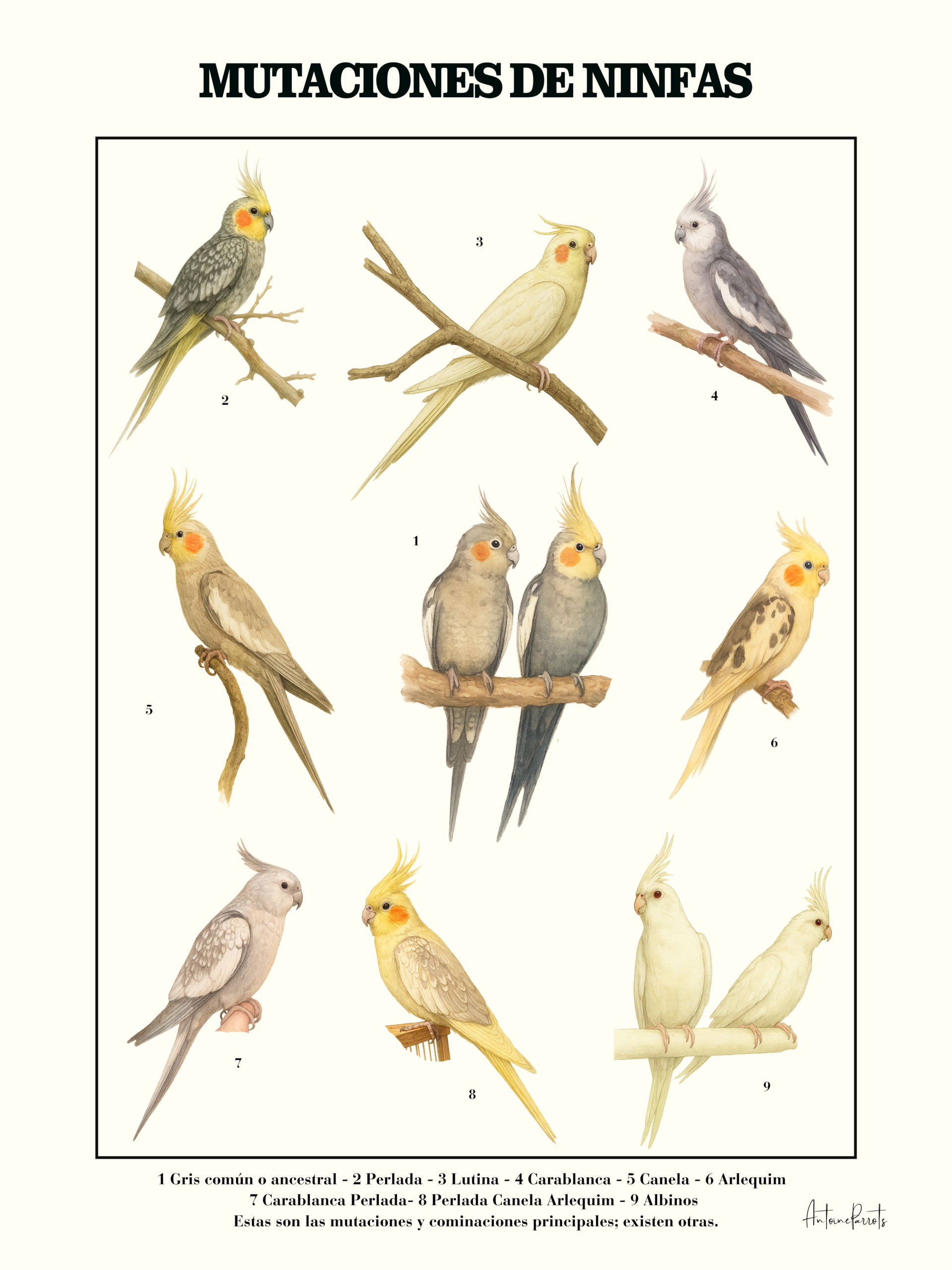 833e7460-887d-474d-b682-53e4fcbaf346