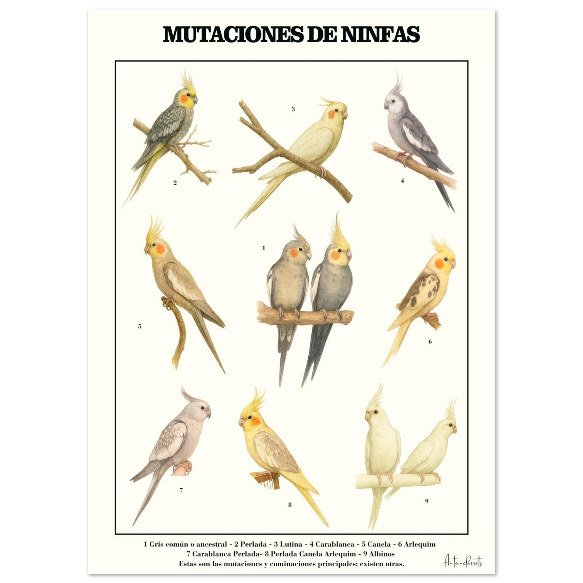 8ad1144b-49f4-45ec-a98d-284b8b4db32a