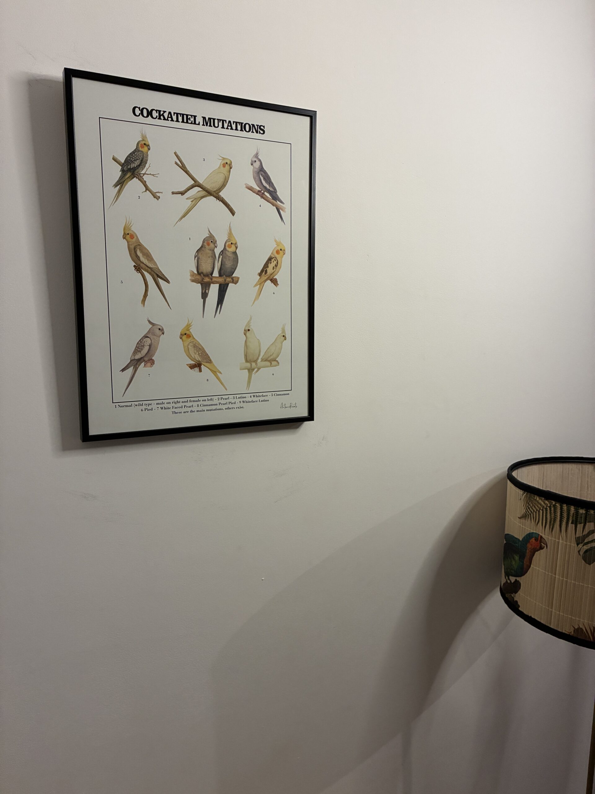 8da65652-f309-4e49-907e-6af39e0eee80