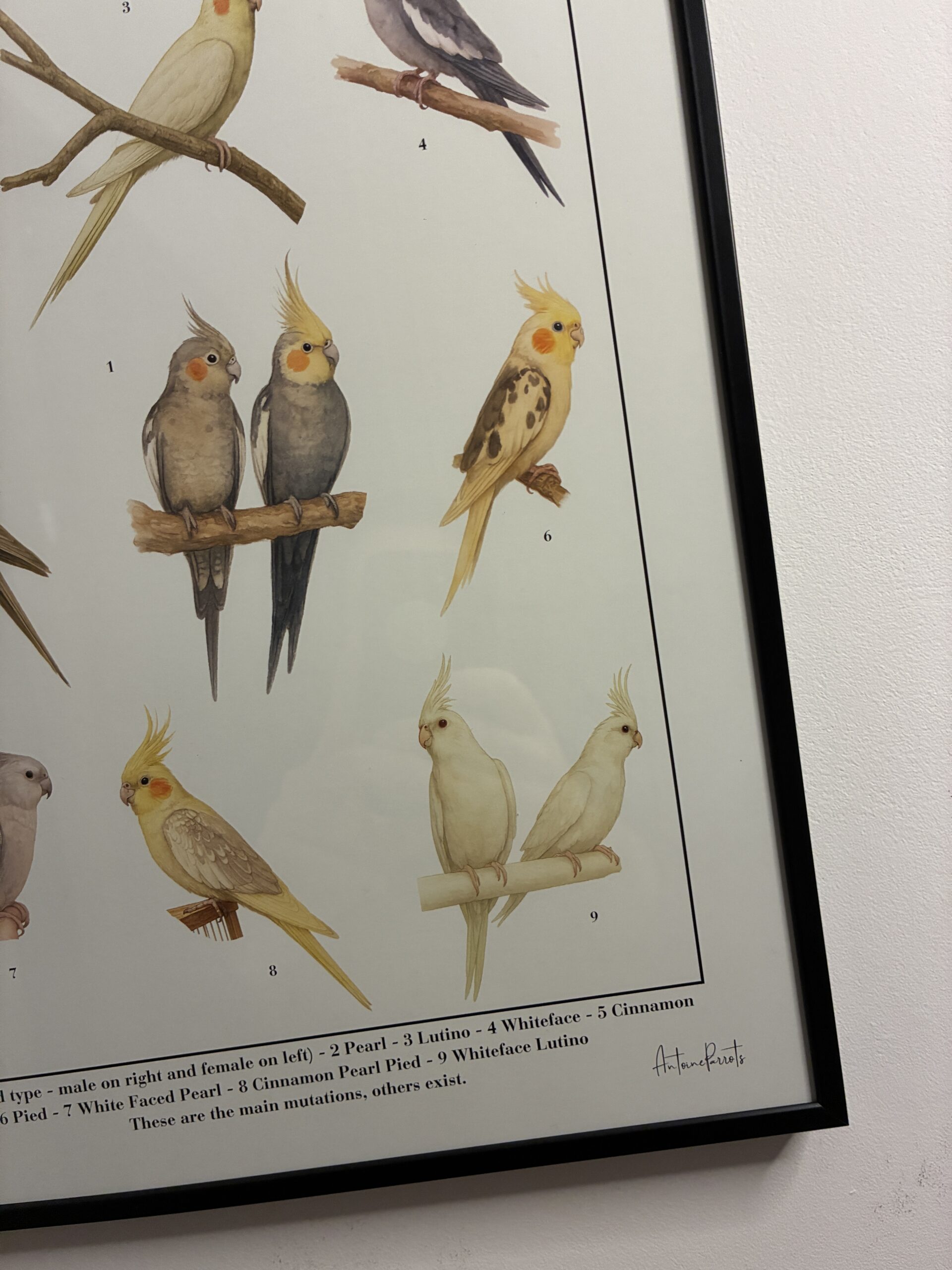 949c637b-1ac7-460a-8040-d6e111282a76