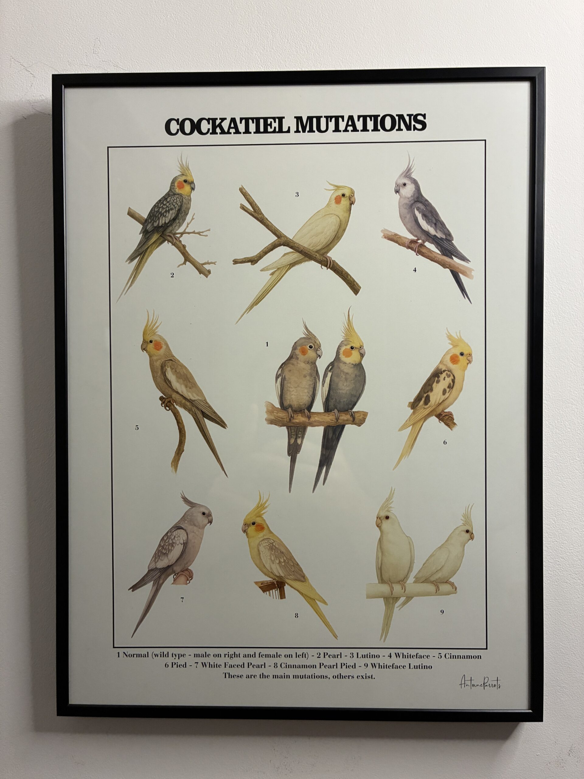 9b7f8a78-0d65-430d-a791-3a34189962f0