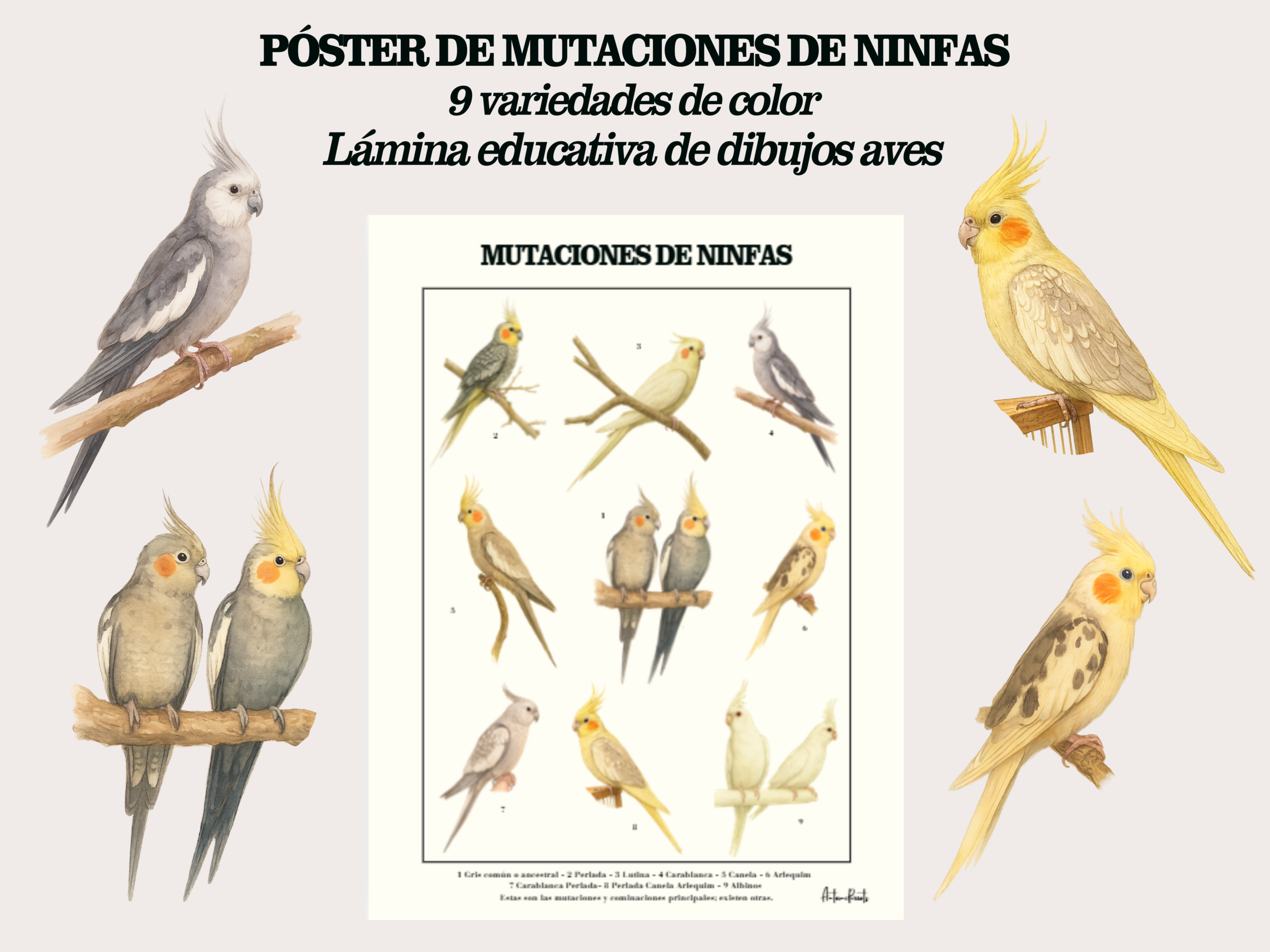 a491516f-87ff-4e9c-9a23-c51377b0d568