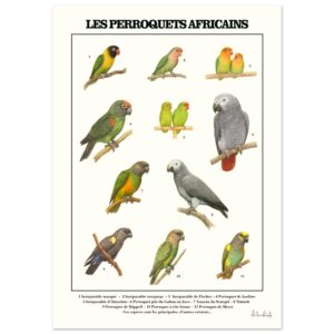 b0d09c3e-b02f-4ae3-8dd9-a29202d4591c