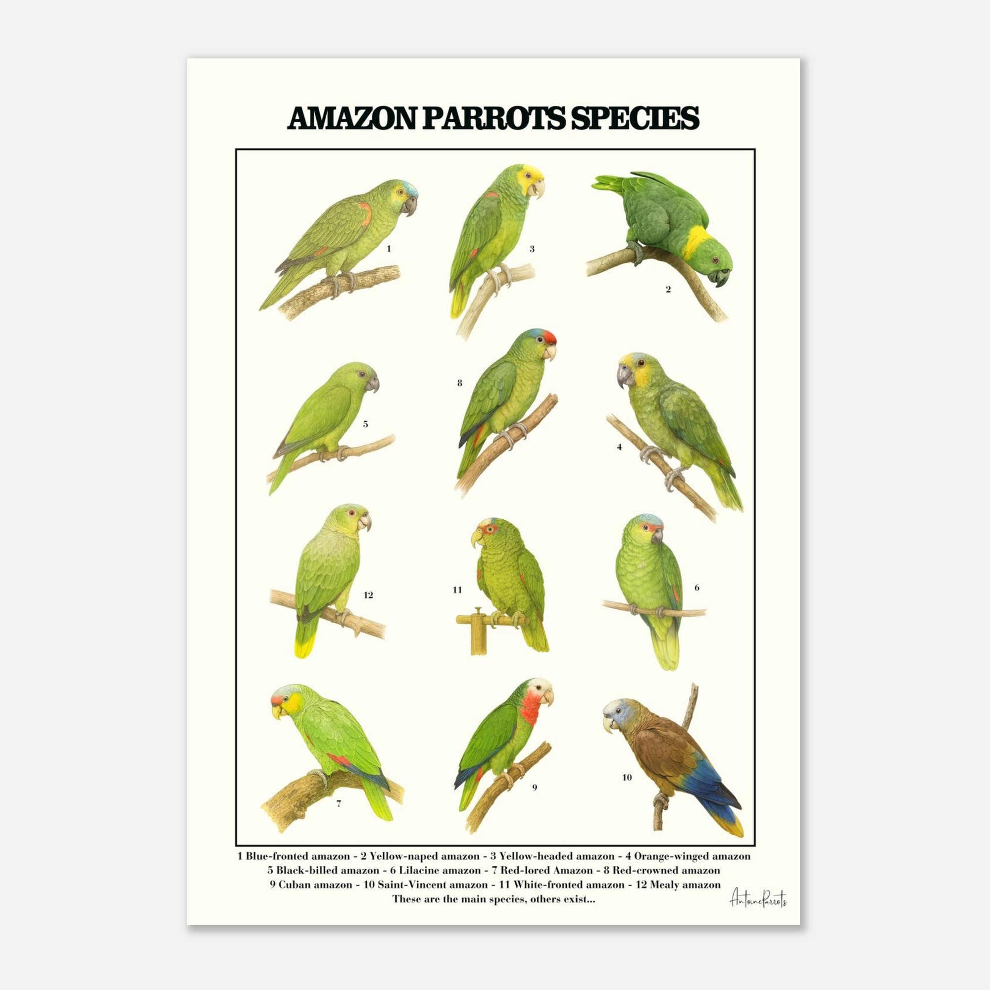 bb089577-7b4b-4111-a417-062b4b5257ad