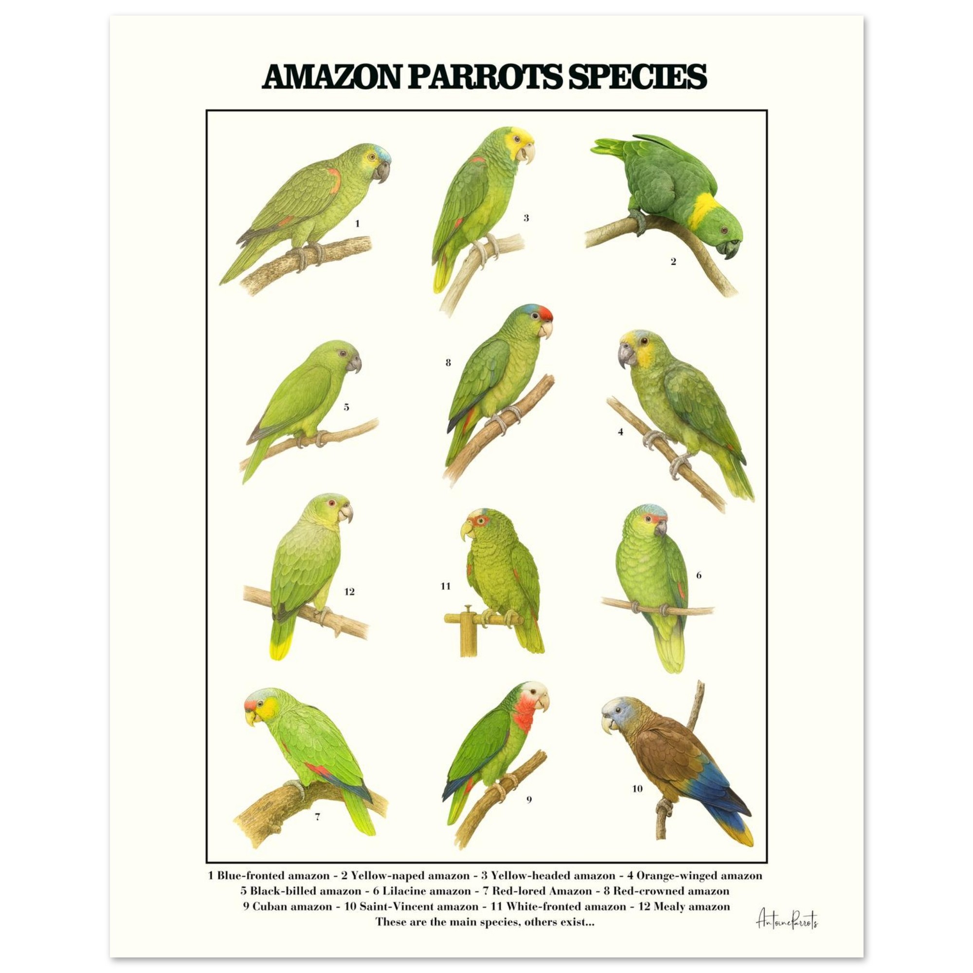 c2a7503f-6665-4890-8ffb-917e30421072