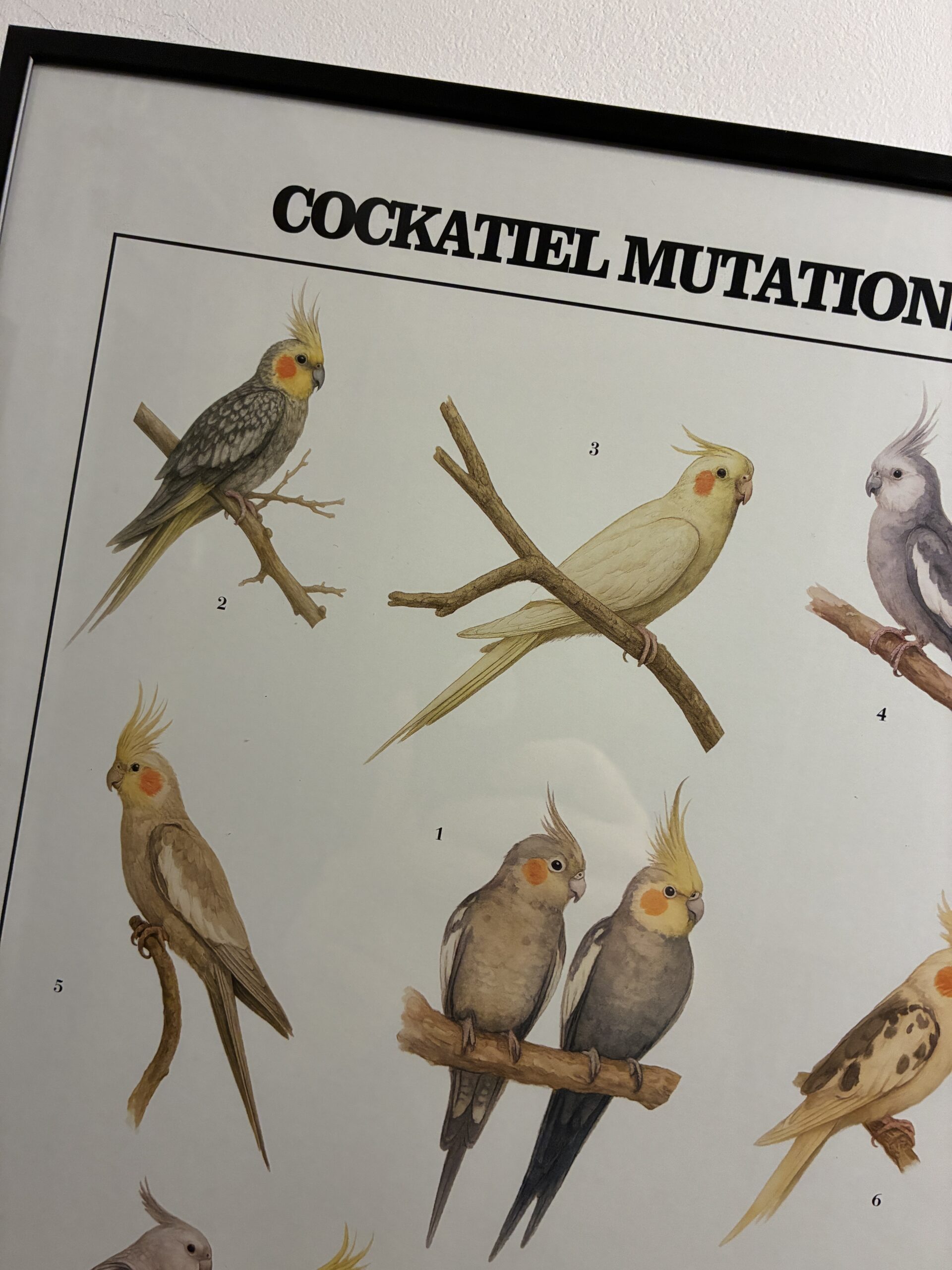 eeddeee0-b0a2-40ae-86e3-9172709b16d9