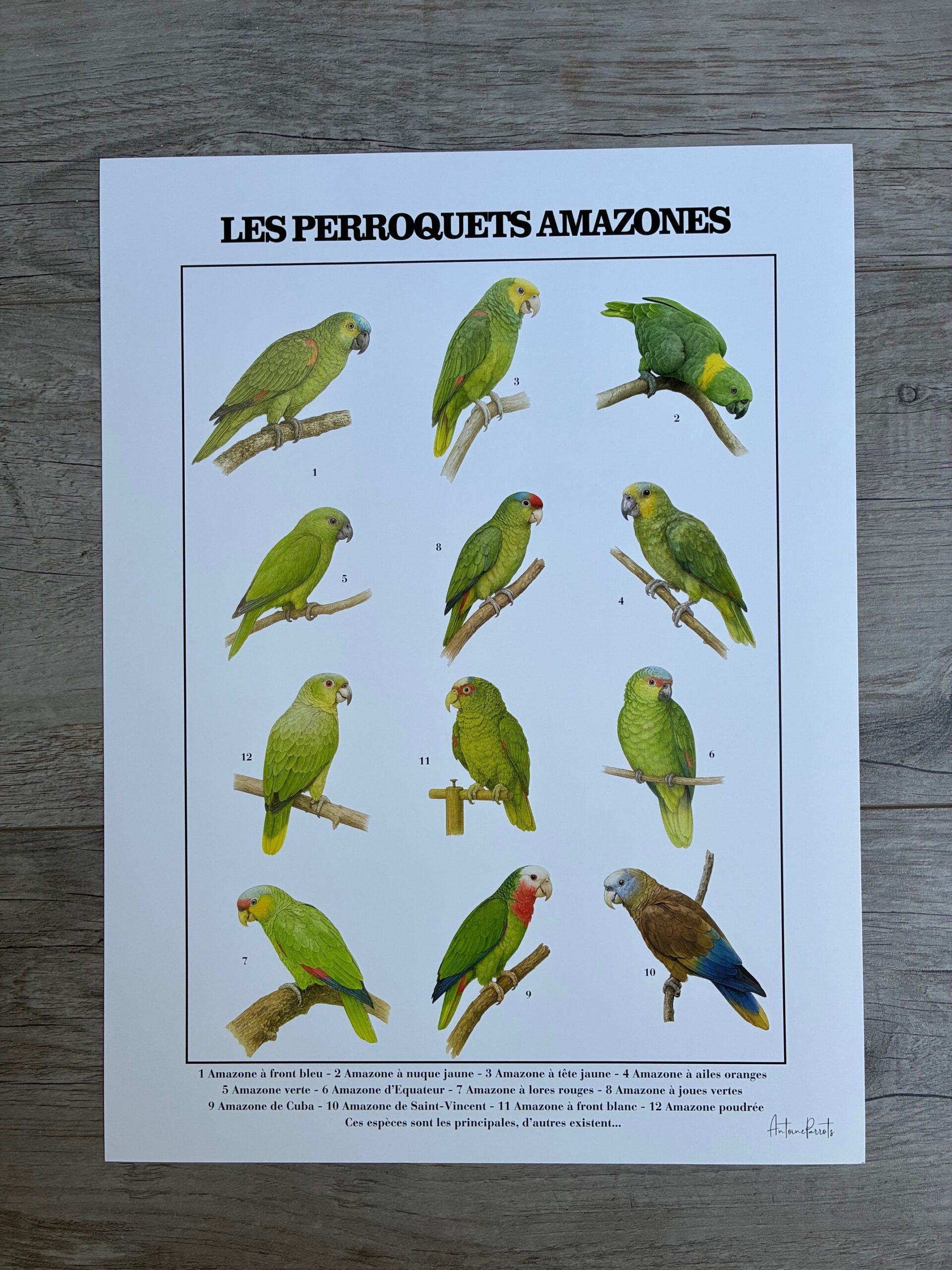 f0e6a18c-50e4-4695-baeb-42cb0fef934c